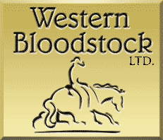 WesternBloodstockLogo